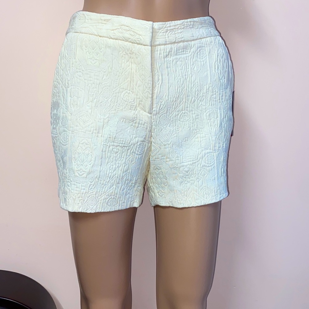 Vince Camuto Shorts